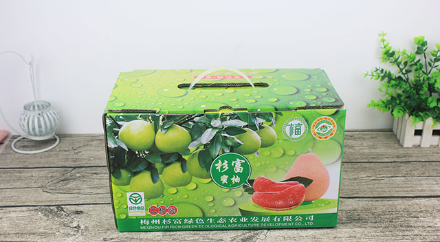 大圖3