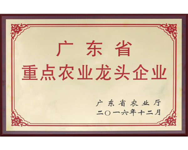 廣東省重點(diǎn)農(nóng)業(yè)龍頭企業(yè)