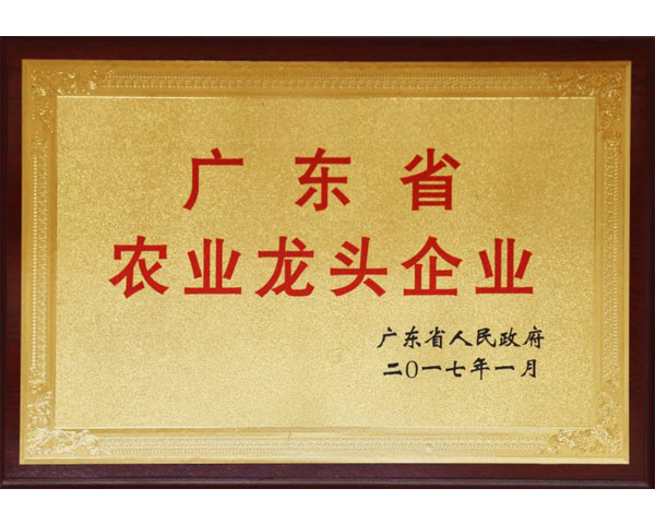 廣東省農(nóng)業(yè)龍頭企業(yè)